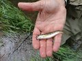 DSC00085001
