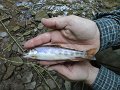 DSC00087001