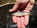DSC00088001