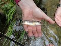 DSC00090001