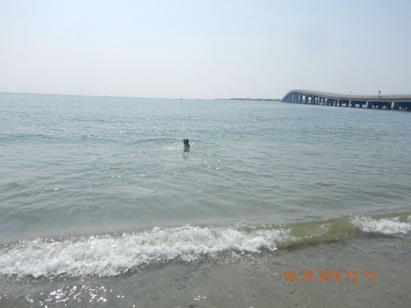 $Beach2018011$.jpg