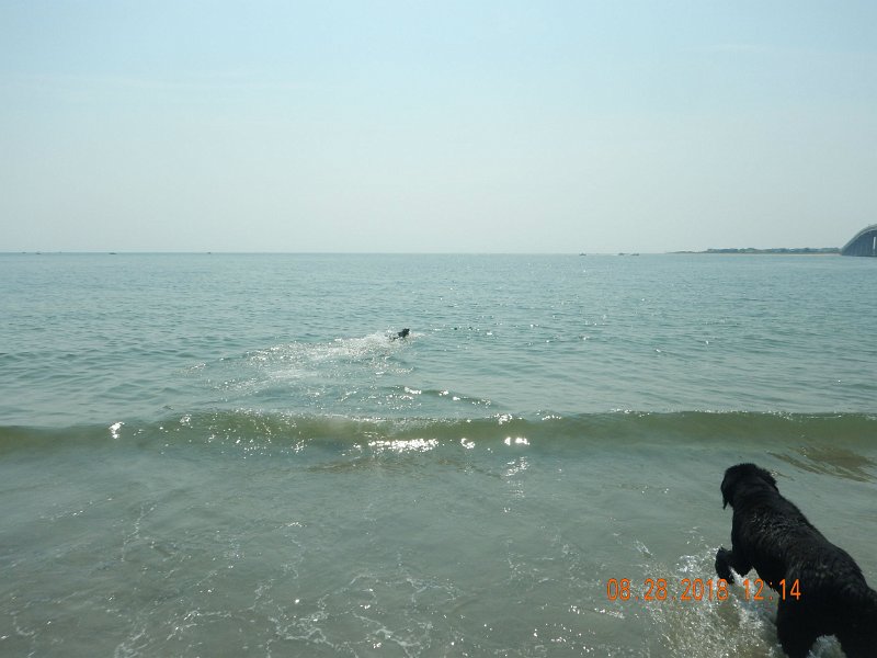 $Beach2018013$.jpg
