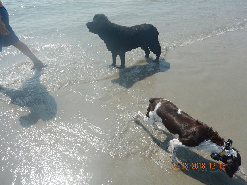 $Beach2018015$.jpg