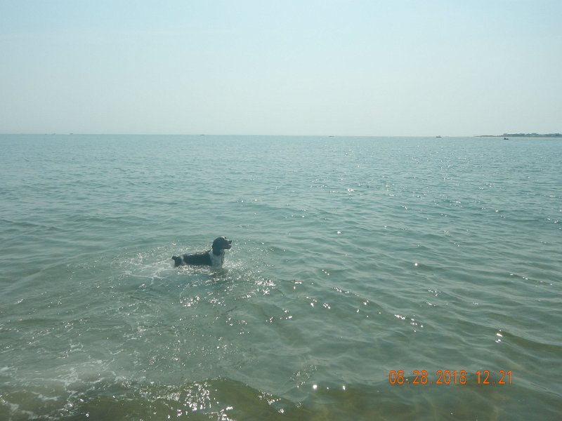 $Beach2018016$.jpg
