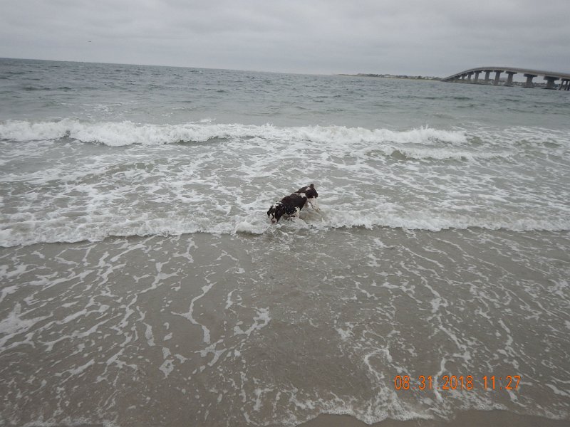 $Beach2018032$.jpg