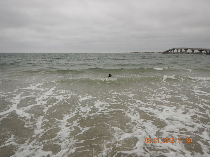 $Beach2018034$.jpg