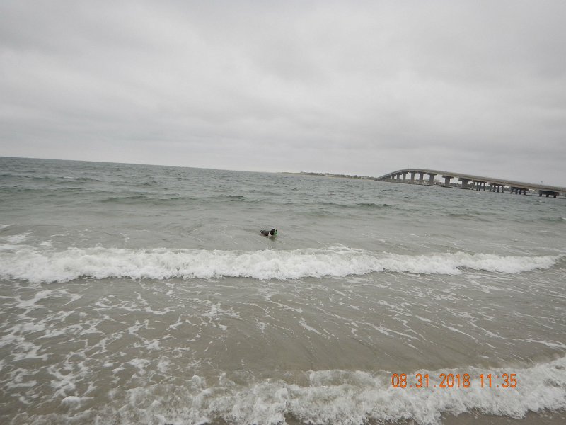 $Beach2018036$.jpg