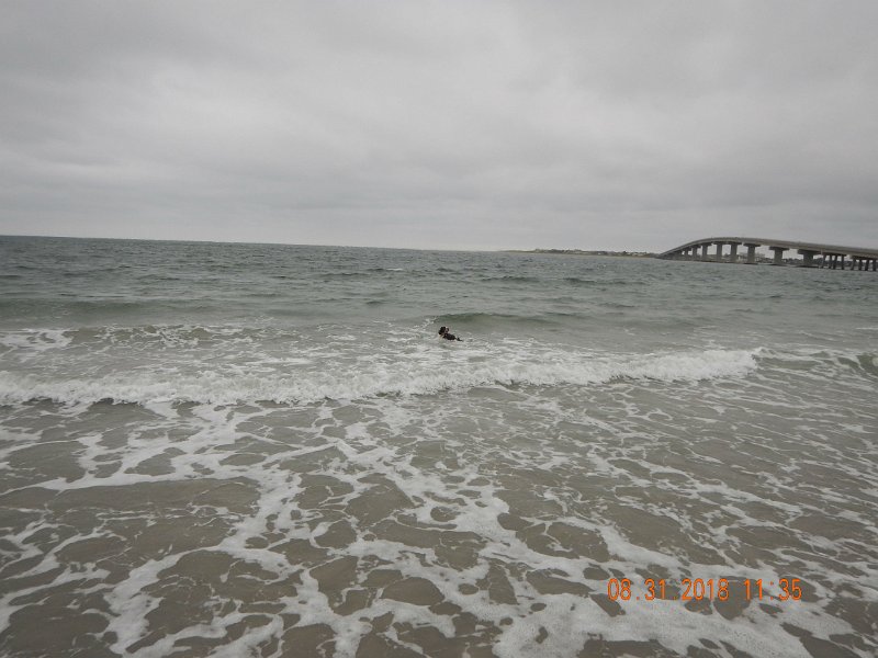 $Beach2018037$.jpg