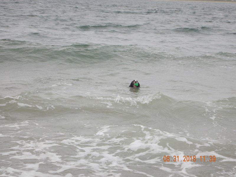 $Beach2018042$.jpg