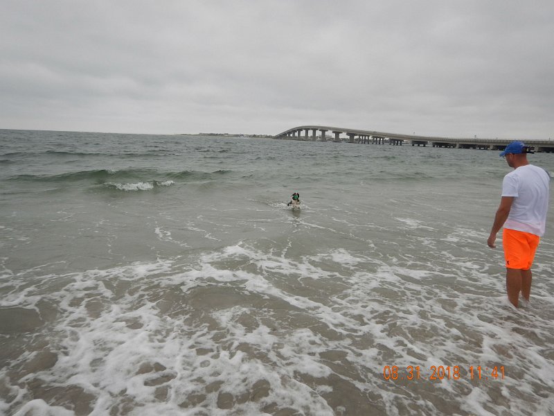 $Beach2018045$.jpg