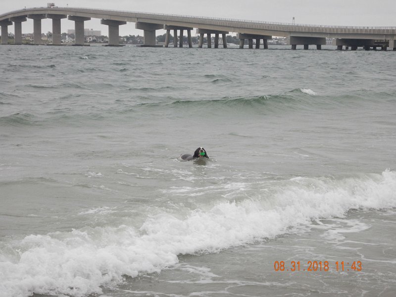 $Beach2018048$.jpg