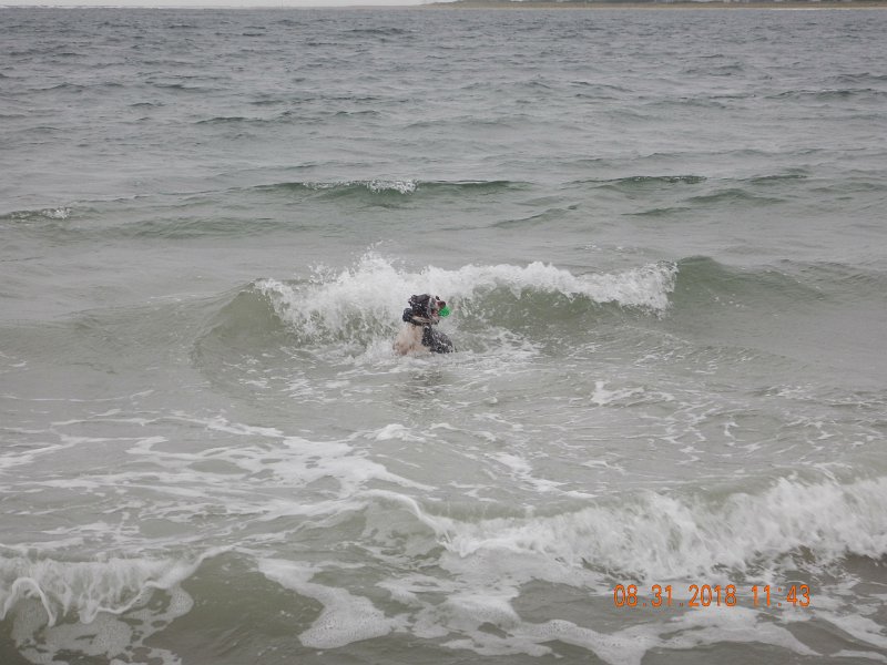 $Beach2018049$.jpg