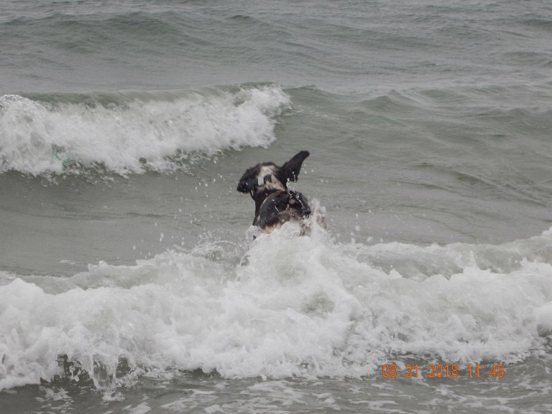 $Beach2018051$.jpg