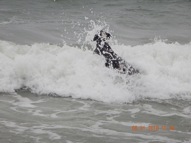 $Beach2018054$.jpg