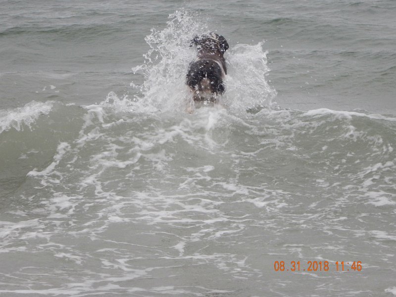 $Beach2018055$.jpg