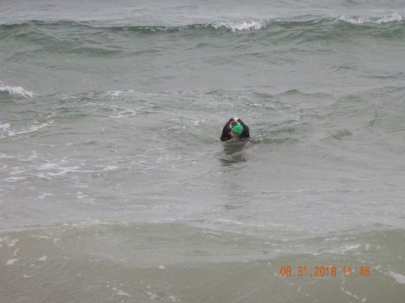 $Beach2018056$.jpg