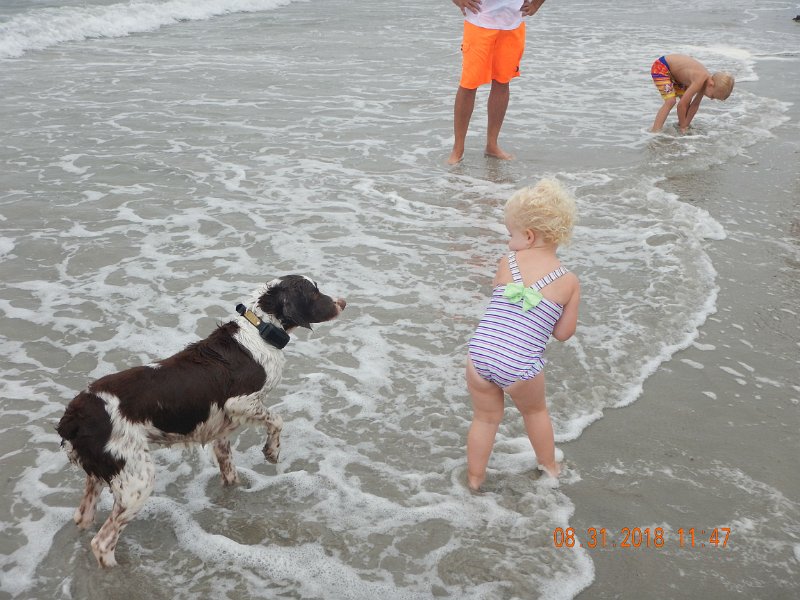 $Beach2018058$.jpg