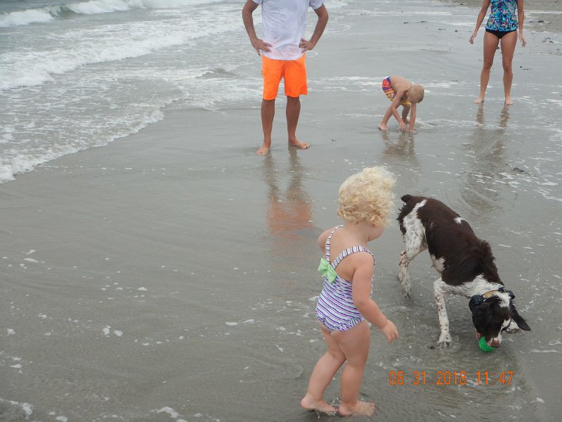 $Beach2018059$.jpg