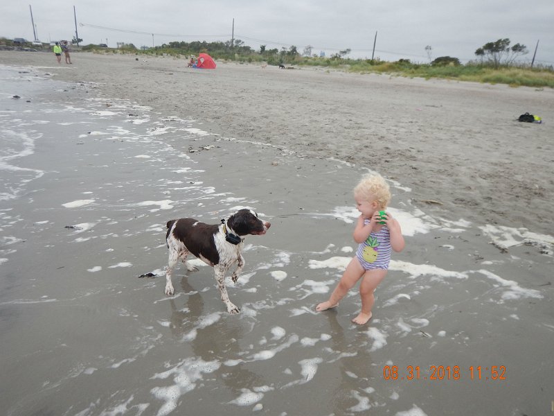 $Beach2018061$.jpg