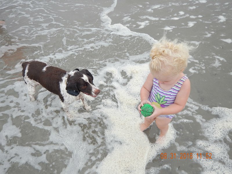 $Beach2018062$.jpg