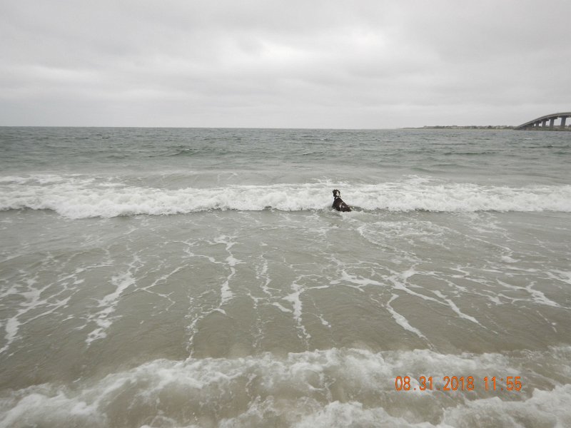 $Beach2018069$.jpg