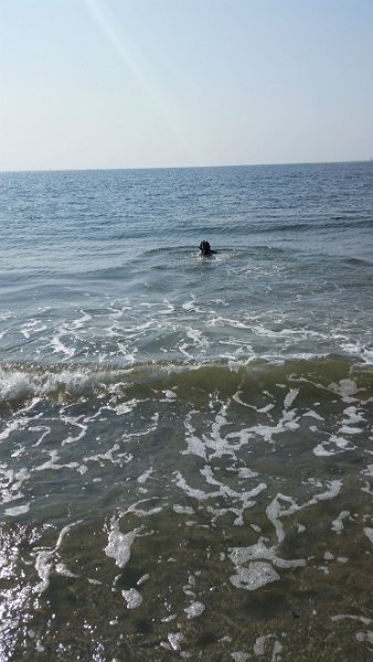 $Beach2018074$.jpg