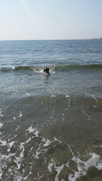 $Beach2018075$.jpg
