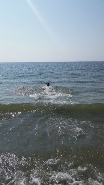 $Beach2018076$.jpg