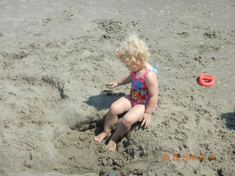 $Beach2018114$.jpg