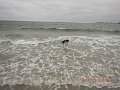 $Beach2018033$