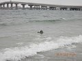 $Beach2018048$